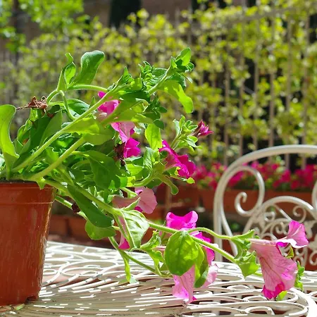 Bed & Breakfast Casalbergo Siena